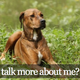 Image for article titled The River is all about guilt and frustratingly impossible reality TV